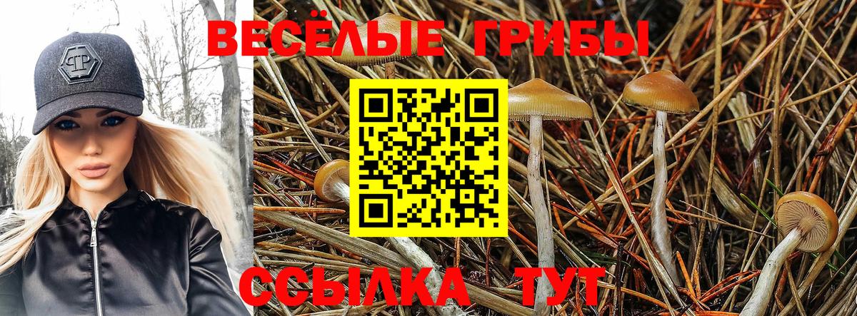 Галлюциногенные грибы Magic Shrooms Нижнеудинск