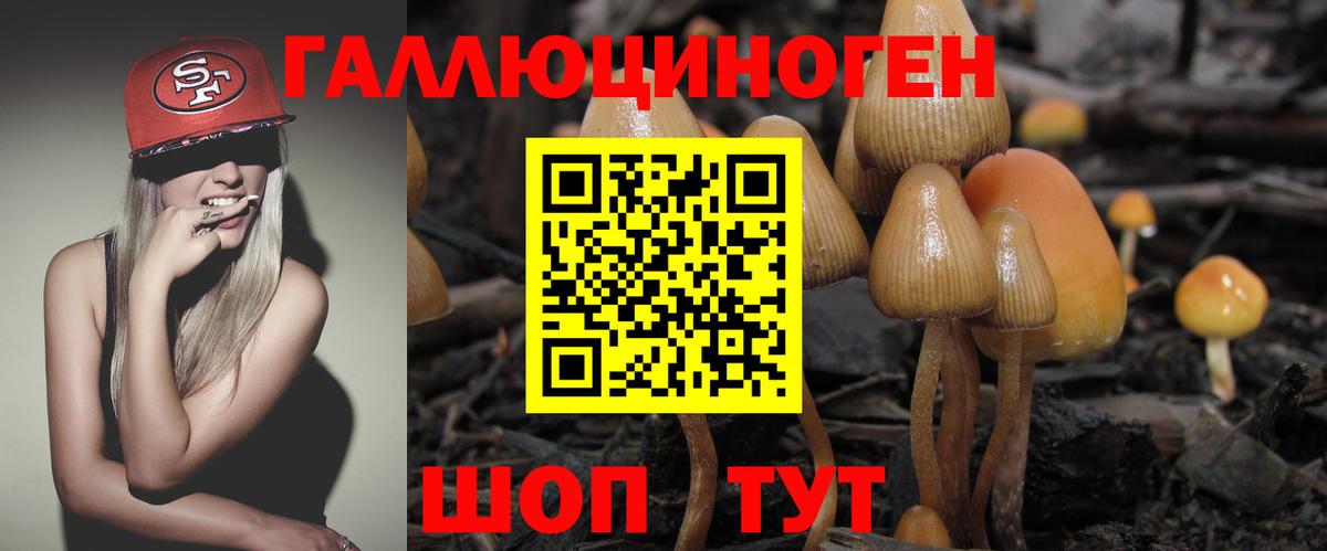 Галлюциногенные грибы мухоморы  наркотики  Нижнеудинск  Галлюциногенные грибы Psilocybe  Вход с VPN 